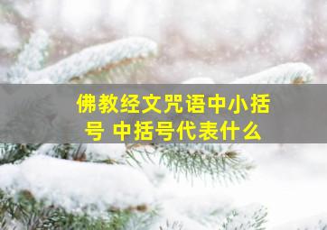 佛教经文咒语中小括号 中括号代表什么